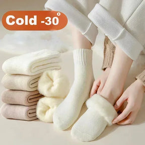 Women Wool Snow Markron Color  Socks